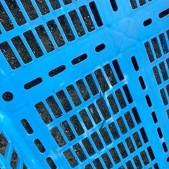 メッシュコンテナ　リス　プラスケット1100 10個セットの画像