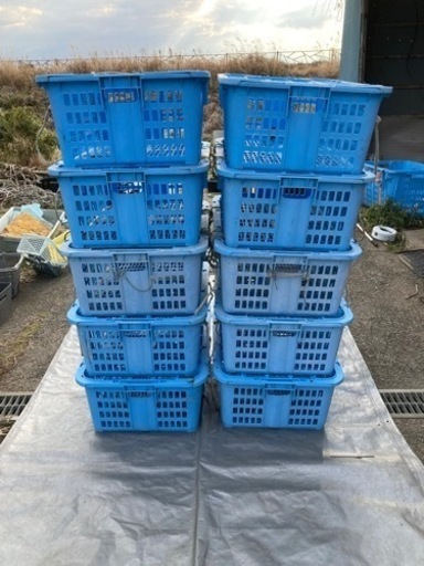 メッシュコンテナ　リス　プラスケット1100 10個セット