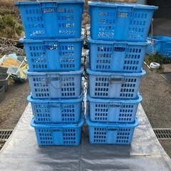 メッシュコンテナ　リス　プラスケット1100 10個セット