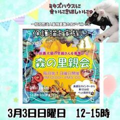 3月3日森の里親会〜保護犬保護猫を家族に〜