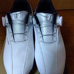 使用2回　ブリヂストンBRIDGESTONEゼロスパイクバイター25.0㎝　白×シルバーの画像