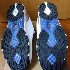 使用2回　ブリヂストンBRIDGESTONEゼロスパイクバイター25.0㎝　白×シルバーの画像