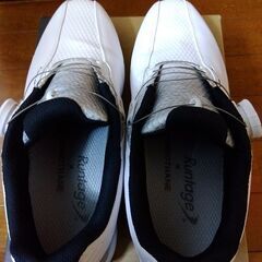 使用2回　ブリヂストンBRIDGESTONEゼロスパイクバイター25.0㎝　白×シルバーの画像