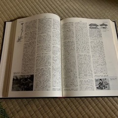 ★世界大百科事典(全36巻)の画像