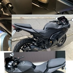 カワサキ ニンジャ250 ZX-6R仕様！７年6月自賠責付き！ETC付きの画像