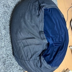 ニトリ　人をダメにするソファの画像