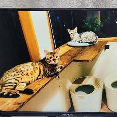 JN-IPS270FLFHD-C65W【ヨドバシカメラ限定】の画像
