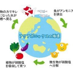 不登校、ひきこもり、その他の方々からの相談受付ますの画像