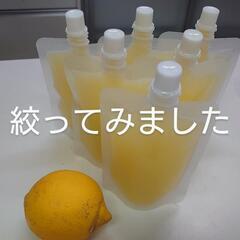 能登半島地震🍀被災地応援🌈無農薬　八朔、レモン🍋を差し上げてます💞