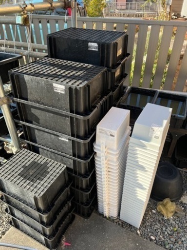 めだかケース・棚・めだか約50種類