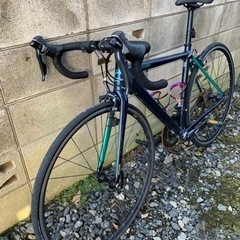 ロードバイク（お話中）