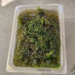 水草ウイローモス　1　(受付終了いたしました)