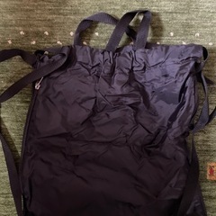 軽くて便利。リュックの画像