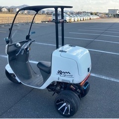 ジャイロキャノピー　2スト後期　ミニカー　マロッシボアアップの画像