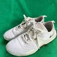 NIKEナイキCK2585-001 シティトレーナー　24.5センチ