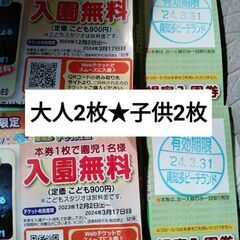南知多ビーチランド★大人2枚、子供2枚の4枚セット