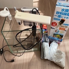 小型魚飼育　初心者セット