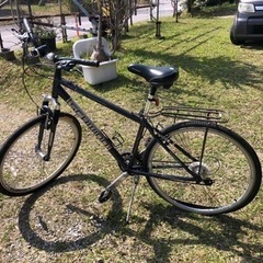 Schwinn 自転車/ 700x38c / 27インチくらいの画像