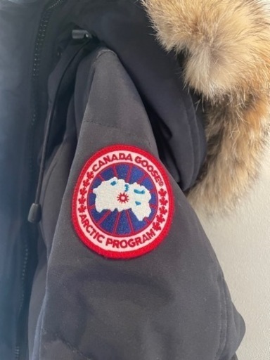 カナダグース／ 