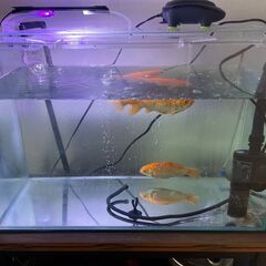 水族館 0¥!