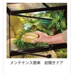 エキゾテラの爬虫類・両生類用ケージ 30×45 の画像