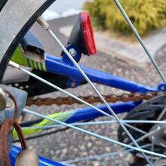 小学校低学年男の子自転車の画像