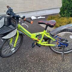 小学校低学年男の子自転車の画像