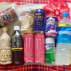 【おまけ付き】ソフトドリンクなどアラカルト★行楽のお供に