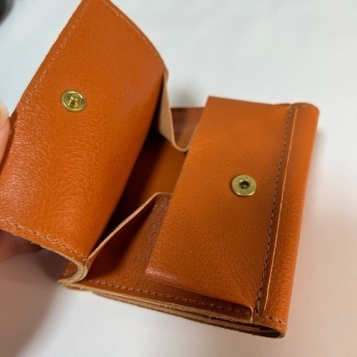 IL BISONTE イルビゾンテ  二つ折り財布　本革　フランス製　輸入品