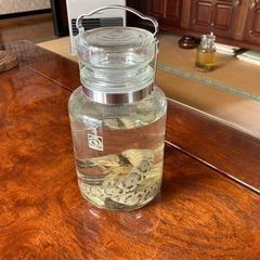 マムシのアルコール漬け　マムシ酒　富士河口湖町に取りに来てね。