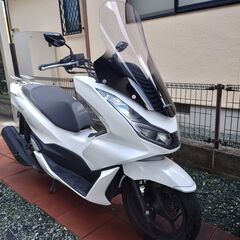 現行型　PCX125 JK05 2022年式　白　自賠責R9年3...