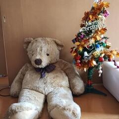 クマのぬいぐるみとクリスマス🎄