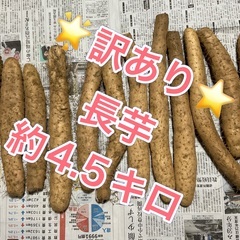 【お話中】★2023年産★ 長芋 ながいいも 約4.5キロ H-2 早い物勝ちですの画像