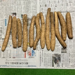 【お話中】★2023年産★ 長芋 ながいいも 約4.5キロ H-2 早い物勝ちですの画像