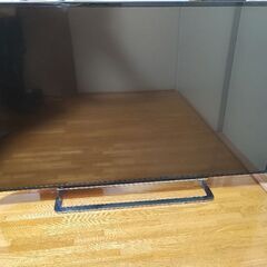 TOSHIBA REGZA 49インチ　49J10X　※画面点滅...