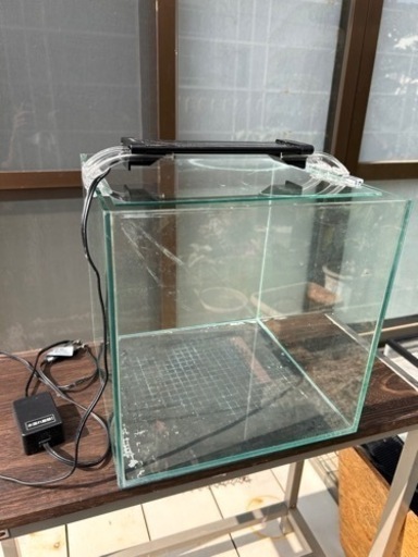 水槽30㌢キューブ その2