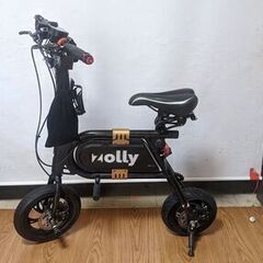 DoubleHunter 改P10 モペット 折り畳電動自転車 ...