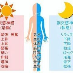 リラクゼーションサロン　いやしの樹 - 地元のお店