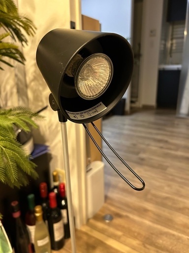 電灯