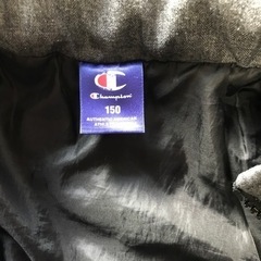 champion 150センチの画像