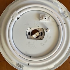 電球