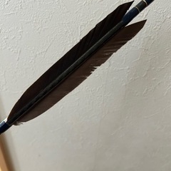 弓道　矢　ミズノ　WENEW カーボン　8020の画像