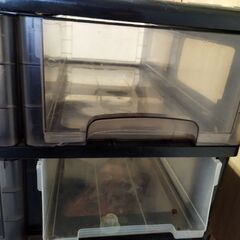 Storage case