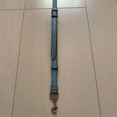 【2／12まで】 コーチ　ショルダーストラップ　単品の画像
