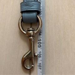 【2／12まで】 コーチ　ショルダーストラップ　単品の画像