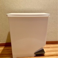 未使用 スイッチゴミ箱 の画像