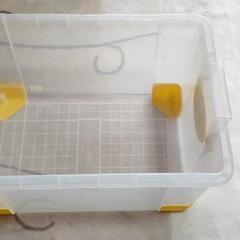 衣装ケースの画像