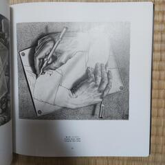 ESCHER (エッシャーの解説本)の画像