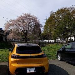 プジョー208 GTLine GTライン サンルーフ付 20.11〜車検2年弱有の画像