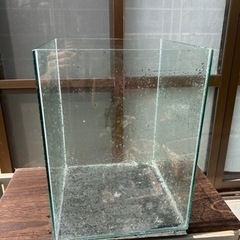 水槽 30㌢ ハイタイプ
